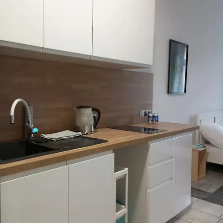 公寓 Monstera -5min Od Centrum,32m2,aneks 比得哥什