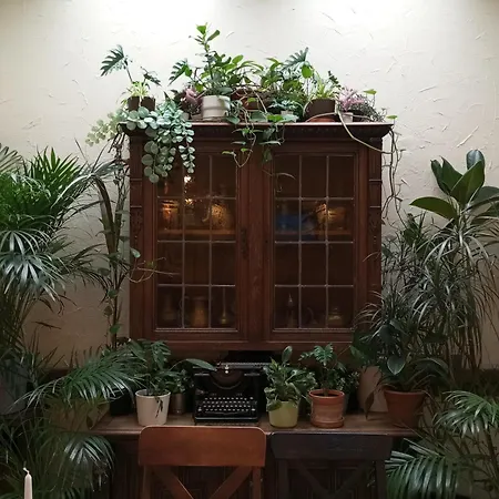 Monstera- Centrum, 32m2, Dzieci Gratis 비드고슈치