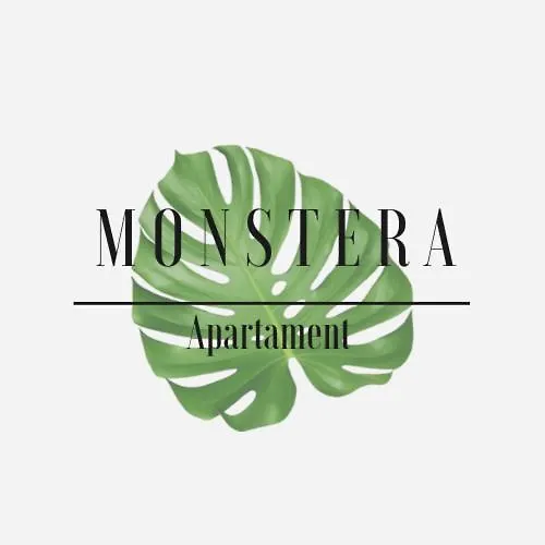 Monstera -5min Od Centrum,32m2,aneks *