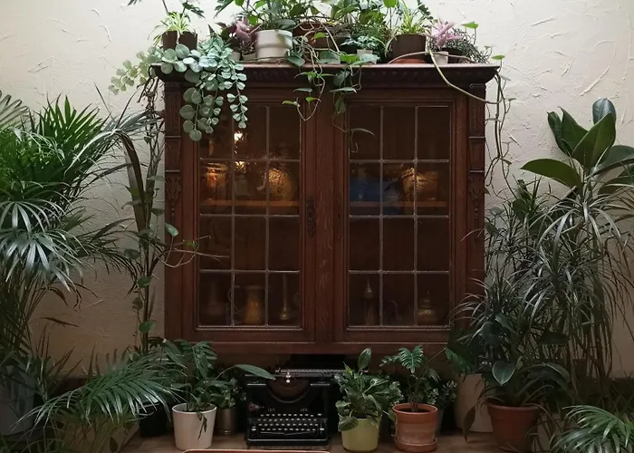 Monstera- Centrum, 32M2, Dzieci Gratis 比得哥什